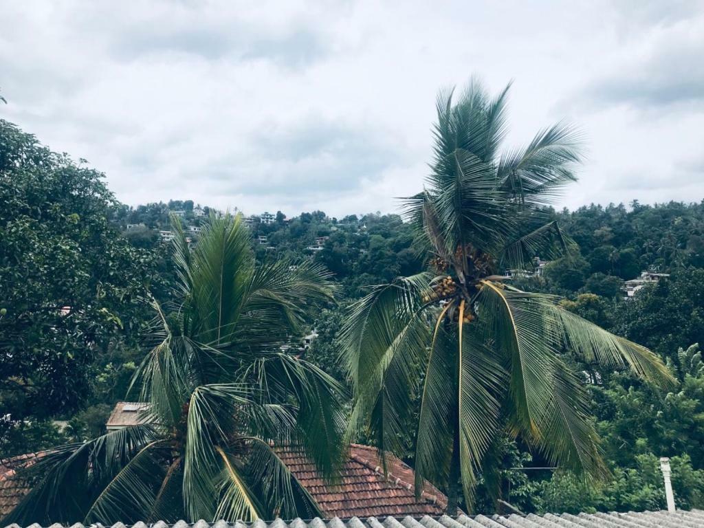 Luxury Apartment The Walkers Nest Kandy Esterno foto
